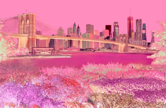 Brooklyn Bridge On the way to Manhattan in magenta colors. 